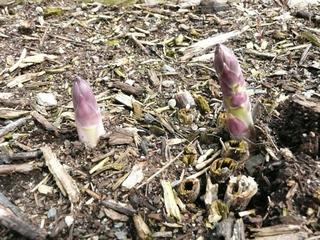 201403311.jpg