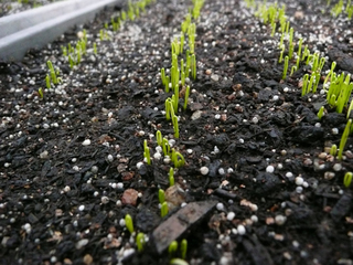 201403312.jpg