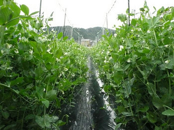 201404301.jpg