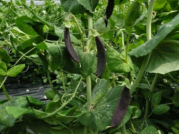 201404304.jpg