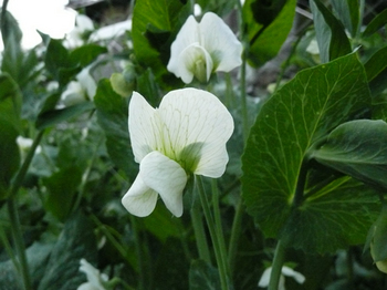 201404305.jpg