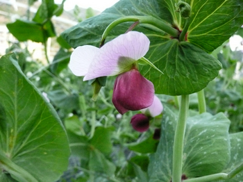 201404306.jpg