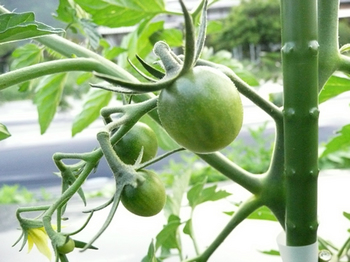 201405301.jpg