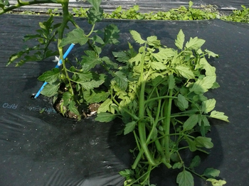 201405304.jpg