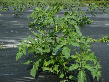 201405305.jpg