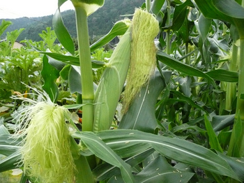 201406301.jpg