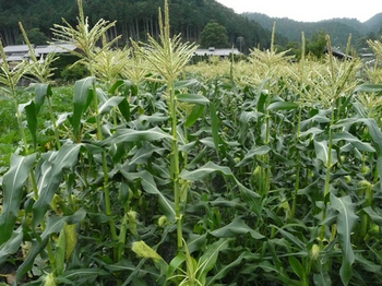 201406302.jpg