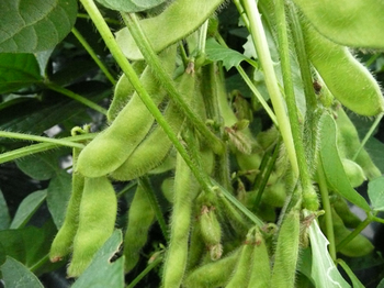 201406304.jpg