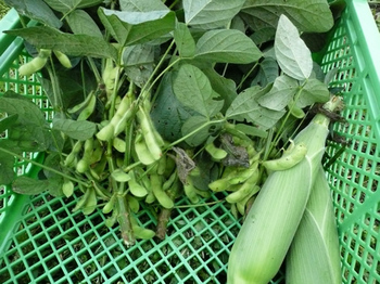 201407114.jpg
