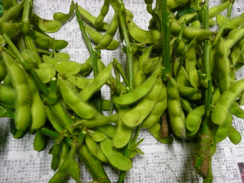 201407115.jpg