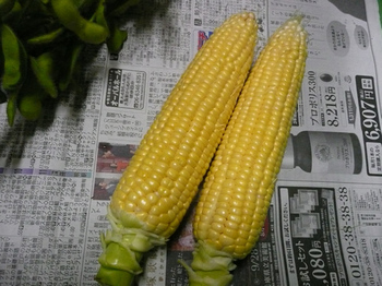201407116.jpg