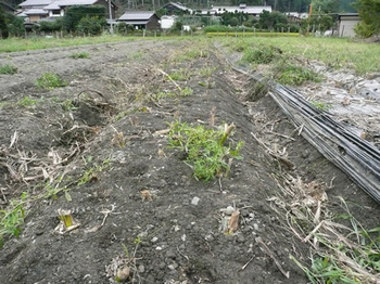201409031.jpg