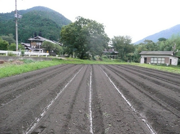 201409032.jpg
