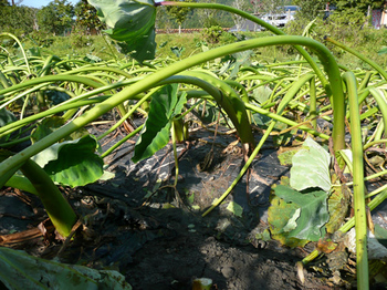201410201.jpg