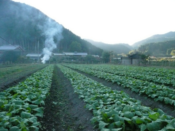 201410206.jpg