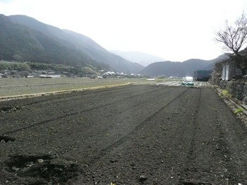 201502252.jpg