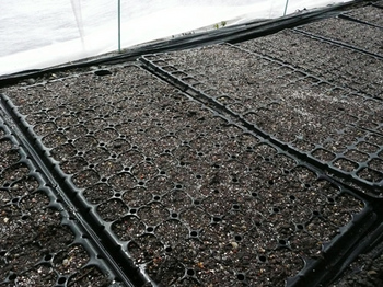 201503311.jpg