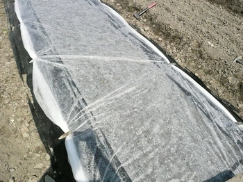 201503312.jpg