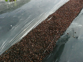 201505155.jpg