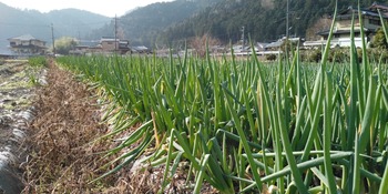 KIMG0626.JPG