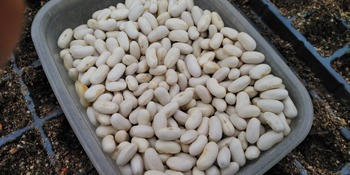 KIMG0900.JPG