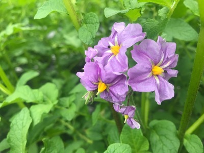 IMG_1758.JPG