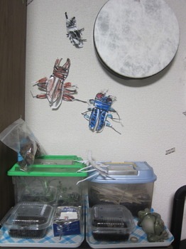 IMG_8706.JPG